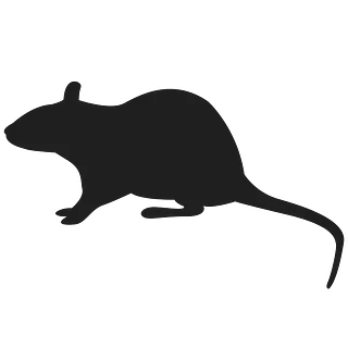 Ratte-Icon